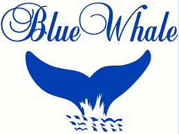 Blue Whale