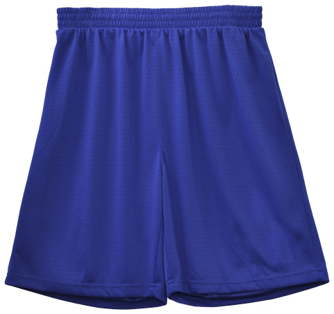 sportswear/basketball/TS81/shorts/SS21_Royal