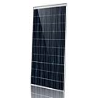 Click to Enlarge - Solar Panels Zeus Appollo ZA1ZDNY 330W Polycrystalline PV Panel Zeus Appollo