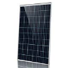 Solar Panels Zeus Appollo ZA1ZDNY 260W Polycrystalline PV Pa... Zeus Appollo